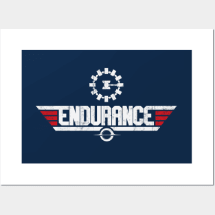 Endurance Top Gun Posters and Art